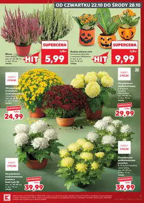 Kaufland - gazetka promocyjna Gazetka Tygodnia od czwartku 22.10 do środy 28.10 - strona 7