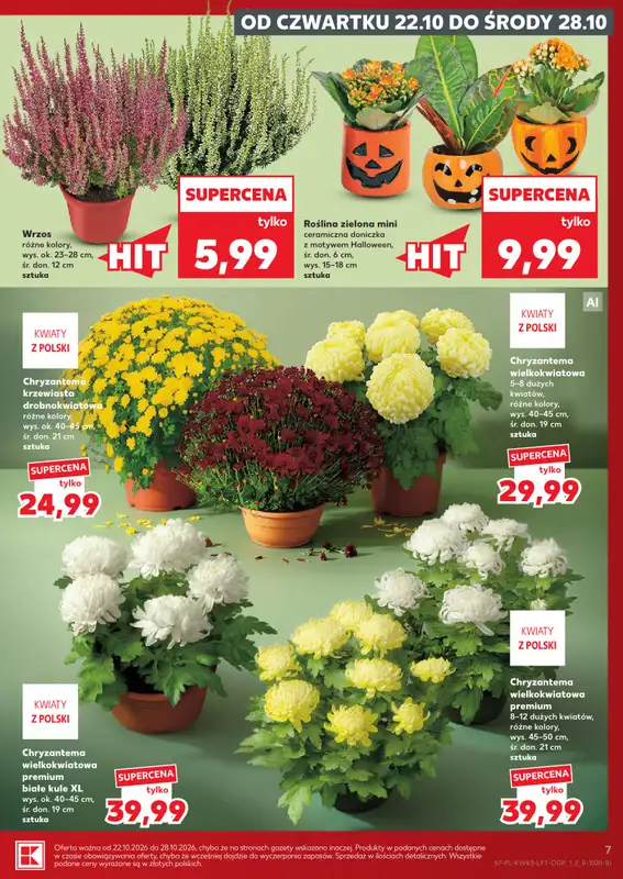 Kaufland - gazetka promocyjna Gazetka Tygodnia od czwartku 22.10 do środy 28.10 - strona 7