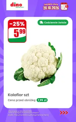 Dino - gazetka promocyjna Specjalna oferta na 20.10.2026 - promocje spoza gazetki od wtorku 20.10 do wtorku 20.10 - strona 8