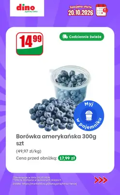 Dino - gazetka promocyjna Specjalna oferta na 20.10.2026 - promocje spoza gazetki od wtorku 20.10 do wtorku 20.10 - strona 4