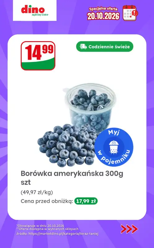 Dino - gazetka promocyjna Specjalna oferta na 20.10.2026 - promocje spoza gazetki od wtorku 20.10 do wtorku 20.10 - strona 4
