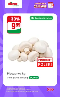 Dino - gazetka promocyjna Specjalna oferta na 20.10.2026 - promocje spoza gazetki od wtorku 20.10 do wtorku 20.10 - strona 2