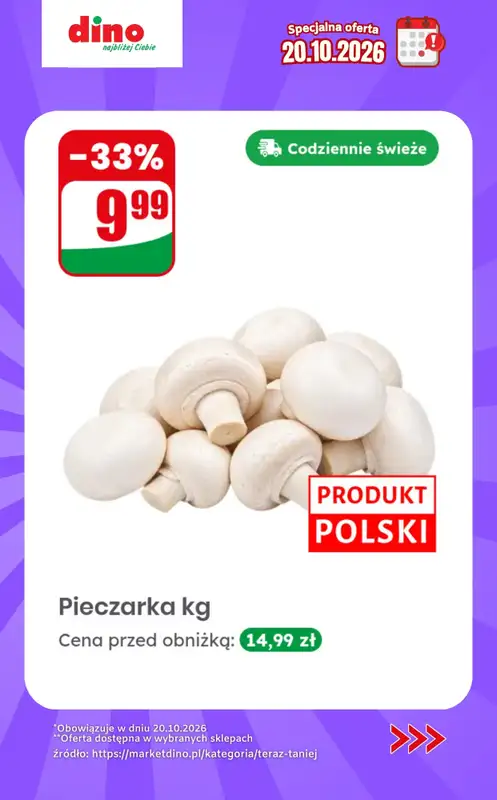 Dino - gazetka promocyjna Specjalna oferta na 20.10.2026 - promocje spoza gazetki od wtorku 20.10 do wtorku 20.10 - strona 2