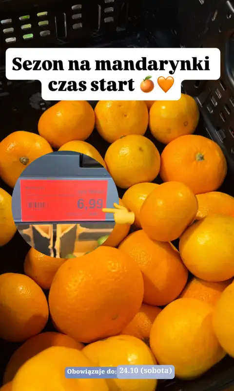 Aldi - gazetka promocyjna Zakupowe inspiracje w Aldi od wtorku 20.10  - strona 14