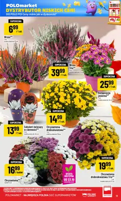 POLOmarket - gazetka promocyjna Gazetka od środy 21.10 do wtorku 27.10 - strona 13