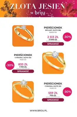 Briju - gazetka promocyjna Złota jesień od środy 21.10 do soboty 31.10 - strona 2