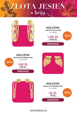 Briju - gazetka promocyjna Złota jesień od środy 21.10 do soboty 31.10 - strona 11