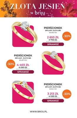 Briju - gazetka promocyjna Złota jesień od środy 21.10 do soboty 31.10 - strona 3