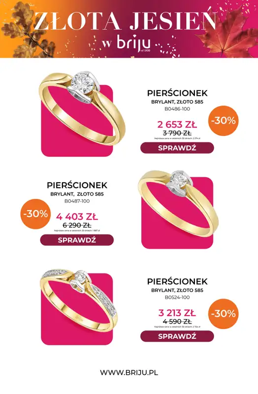 Briju - gazetka promocyjna Złota jesień od środy 21.10 do soboty 31.10 - strona 3