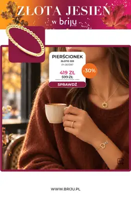 Briju - gazetka promocyjna Złota jesień od środy 21.10 do soboty 31.10 - strona 5