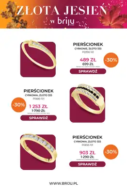 Briju - gazetka promocyjna Złota jesień od środy 21.10 do soboty 31.10 - strona 7