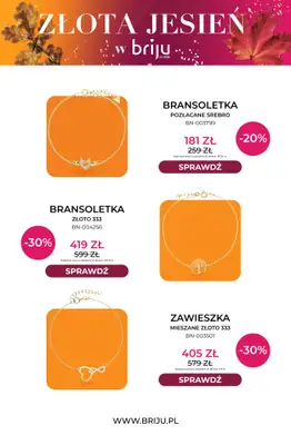 Briju - gazetka promocyjna Złota jesień od środy 21.10 do soboty 31.10 - strona 6