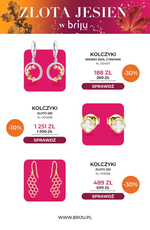 Briju - gazetka promocyjna Złota jesień od środy 21.10 do soboty 31.10 - strona 8