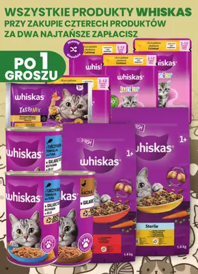 Dino - gazetka promocyjna Gazetka 43 / 2026 od środy 21.10 do wtorku 27.10 - strona 78