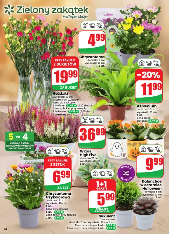 Dino - gazetka promocyjna Gazetka 43 / 2026 od środy 21.10 do wtorku 27.10 - strona 64