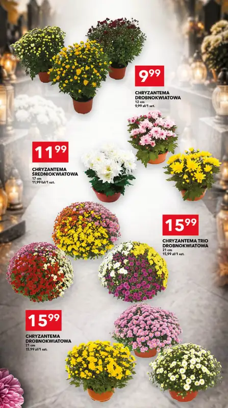 LEWIATAN - gazetka promocyjna Mamy TO w Lewiatanie – woj. opolskie od czwartku 22.10 do soboty 31.10 - strona 15