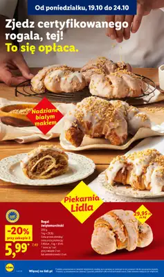 Lidl - gazetka promocyjna Oferta od poniedziałku od poniedziałku 19.10 do środy 21.10 - strona 44