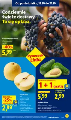 Lidl - gazetka promocyjna Oferta od poniedziałku od poniedziałku 19.10 do środy 21.10 - strona 39