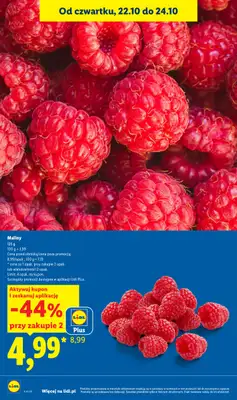 Lidl - gazetka promocyjna Oferta od czwartku od czwartku 22.10 do soboty 24.10 - strona 10