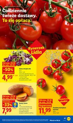 Lidl - gazetka promocyjna Oferta od czwartku od czwartku 22.10 do soboty 24.10 - strona 49