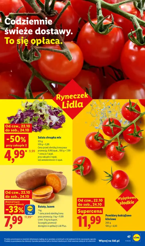 Lidl - gazetka promocyjna Oferta od czwartku od czwartku 22.10 do soboty 24.10 - strona 49