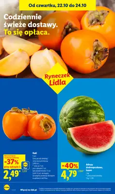 Lidl - gazetka promocyjna Oferta od czwartku od czwartku 22.10 do soboty 24.10 - strona 48