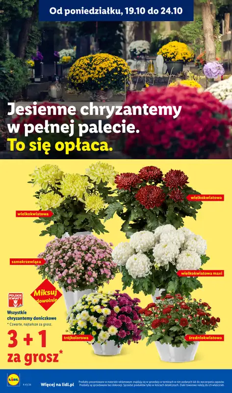 Lidl - gazetka promocyjna Oferta od czwartku od czwartku 22.10 do soboty 24.10 - strona 102