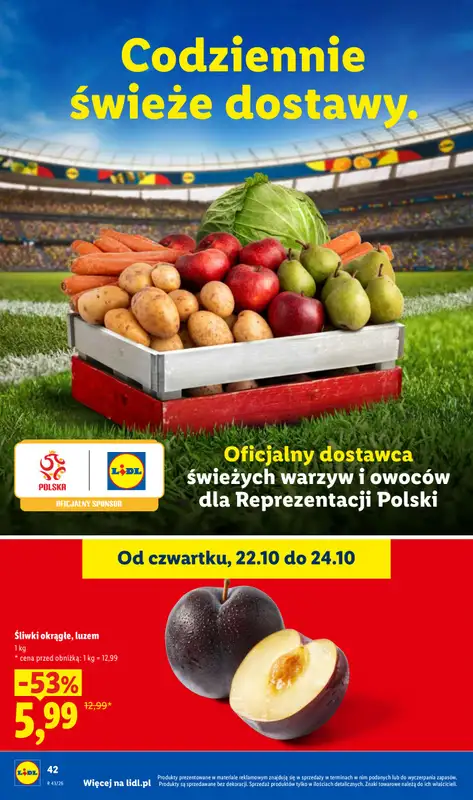 Lidl - gazetka promocyjna Oferta od czwartku od czwartku 22.10 do soboty 24.10 - strona 44