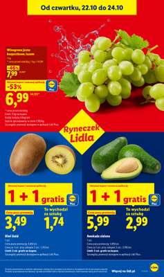 Lidl - gazetka promocyjna Oferta od czwartku od czwartku 22.10 do soboty 24.10 - strona 45