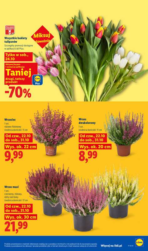 Lidl - gazetka promocyjna Oferta od czwartku od czwartku 22.10 do soboty 24.10 - strona 103