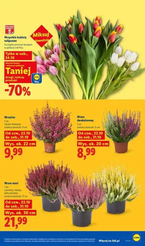 Lidl - gazetka promocyjna Oferta od czwartku od czwartku 22.10 do soboty 24.10 - strona 103