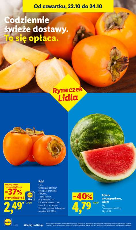 Lidl - gazetka promocyjna Oferta od czwartku od czwartku 22.10 do soboty 24.10 - strona 48