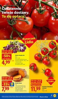 Lidl - gazetka promocyjna Oferta od czwartku od czwartku 22.10 do soboty 24.10 - strona 49