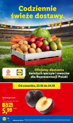 Lidl - gazetka promocyjna Oferta od czwartku od czwartku 22.10 do soboty 24.10 - strona 44