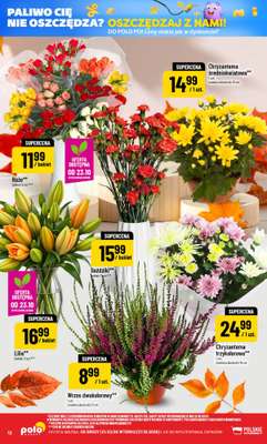 POLOmarket - gazetka promocyjna Gazetka od środy 21.10 do wtorku 27.10 - strona 12