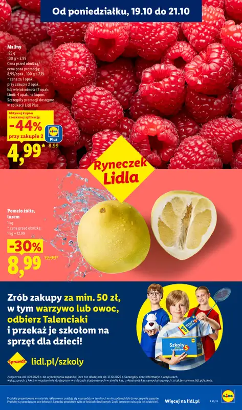 Lidl - gazetka promocyjna Oferta od poniedziałku od poniedziałku 19.10 do środy 21.10 - strona 41