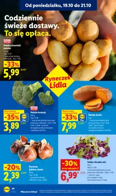 Lidl - gazetka promocyjna Oferta od poniedziałku od poniedziałku 19.10 do środy 21.10 - strona 40