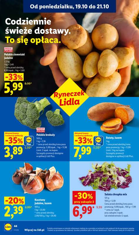 Lidl - gazetka promocyjna Oferta od poniedziałku od poniedziałku 19.10 do środy 21.10 - strona 40