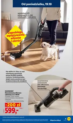 Lidl - gazetka promocyjna Katalog od poniedziałku 19.10 do soboty 24.10 - strona 11