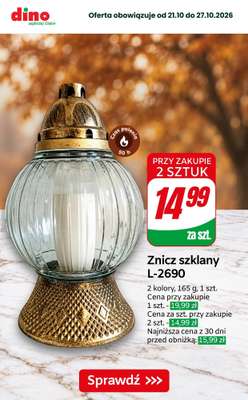 Dino - gazetka promocyjna Znicze i wkłady w supercenach od piątku 23.10 do wtorku 27.10 - strona 7