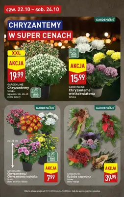 Aldi - gazetka promocyjna Pełny katalog! od poniedziałku 19.10 do soboty 24.10 - strona 46