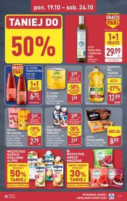 Aldi - gazetka promocyjna Pełny katalog! od poniedziałku 19.10 do soboty 24.10 - strona 13
