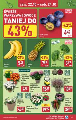 Aldi - gazetka promocyjna Pełny katalog! od poniedziałku 19.10 do soboty 24.10 - strona 45