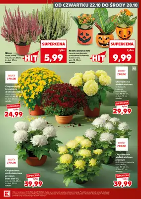 Kaufland - gazetka promocyjna Oferta Kaufland - SUPER SOBOTA od soboty 24.10 do soboty 24.10 - strona 9