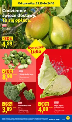 Lidl - gazetka promocyjna Oferta od czwartku od czwartku 22.10 do soboty 24.10 - strona 49