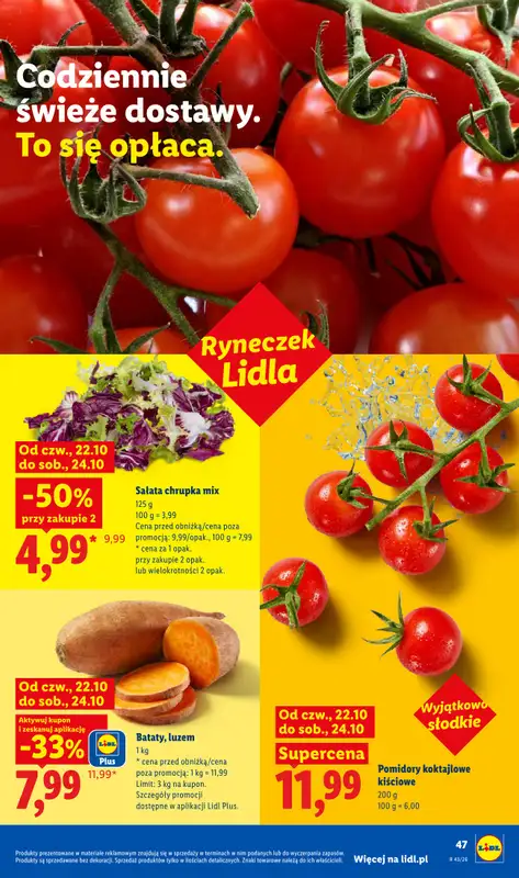 Lidl - gazetka promocyjna Oferta od czwartku od czwartku 22.10 do soboty 24.10 - strona 51