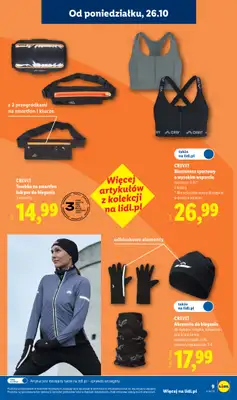 Lidl - gazetka promocyjna Katalog od poniedziałku 26.10 do soboty 31.10 - strona 13