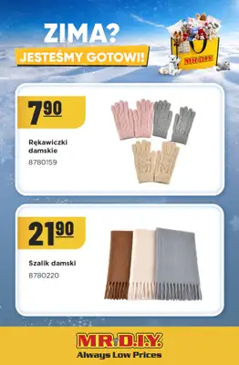 MR. DIY - gazetka promocyjna Zima? Jesteśmy gotowi od piątku 23.10 do soboty 31.10 - strona 10