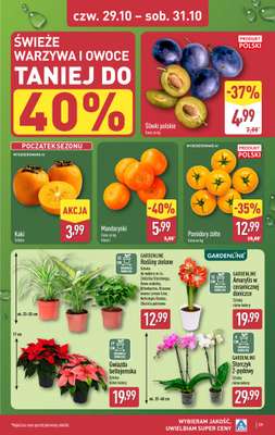 Aldi - gazetka promocyjna Pełny katalog! od poniedziałku 26.10 do soboty 31.10 - strona 39