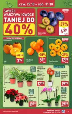 Aldi - gazetka promocyjna Pełny katalog! od poniedziałku 26.10 do soboty 31.10 - strona 39